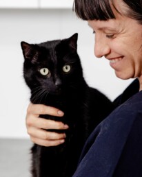Katze in Behandlung in der Tierarztpraxis am Mülheimer Stadtgarten in Köln