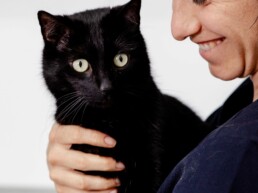 Katze in Behandlung in der Tierarztpraxis am Mülheimer Stadtgarten in Köln