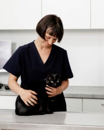 Entspannte Katze in der Behandlung - Tierarztpraxis am Mülheimer Stadtgarten
